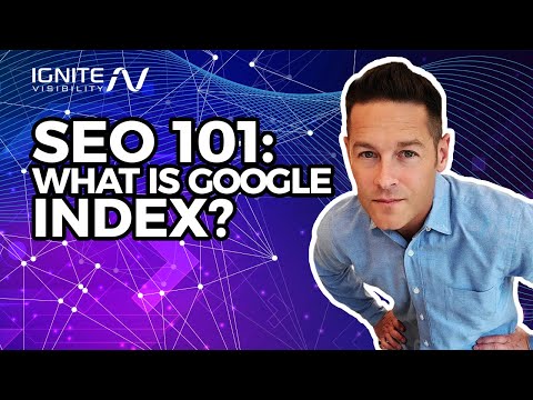 SEO 101: What is Google Index?